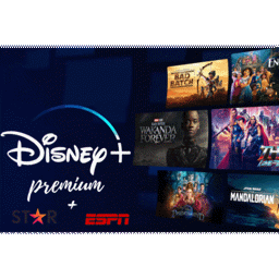 Imagen de DISNEY PERFIL PREMIUM