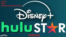 Imagen de DISNEY PREMIUM HULU (PERFILES)