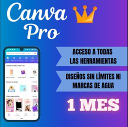 Imagen de CANVA 1 MES
